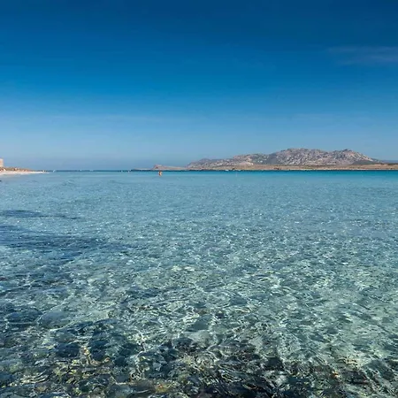 아파트 Stintino/insel Sardinien 23217