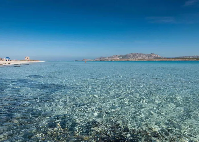Apartment - Insel Sardinien 23217
