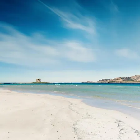 - Insel Sardinien 23217 Appartement Stintino