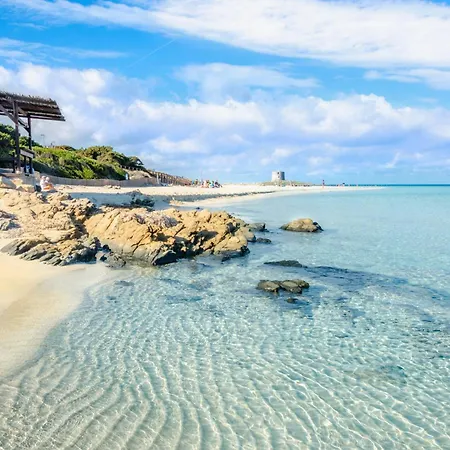 - Insel Sardinien 23217 Apartament Stintino